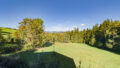 Aussicht vom Balkon im EG