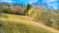 Wiesenfläche