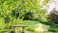 Fischteich