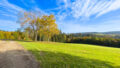 Naturblick