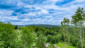 Ausblick