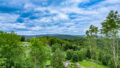 Ausblick