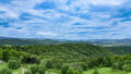 Ausblick
