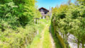 Zufahrt zum Haus