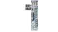 3D Grundriss_EG-II_TopView