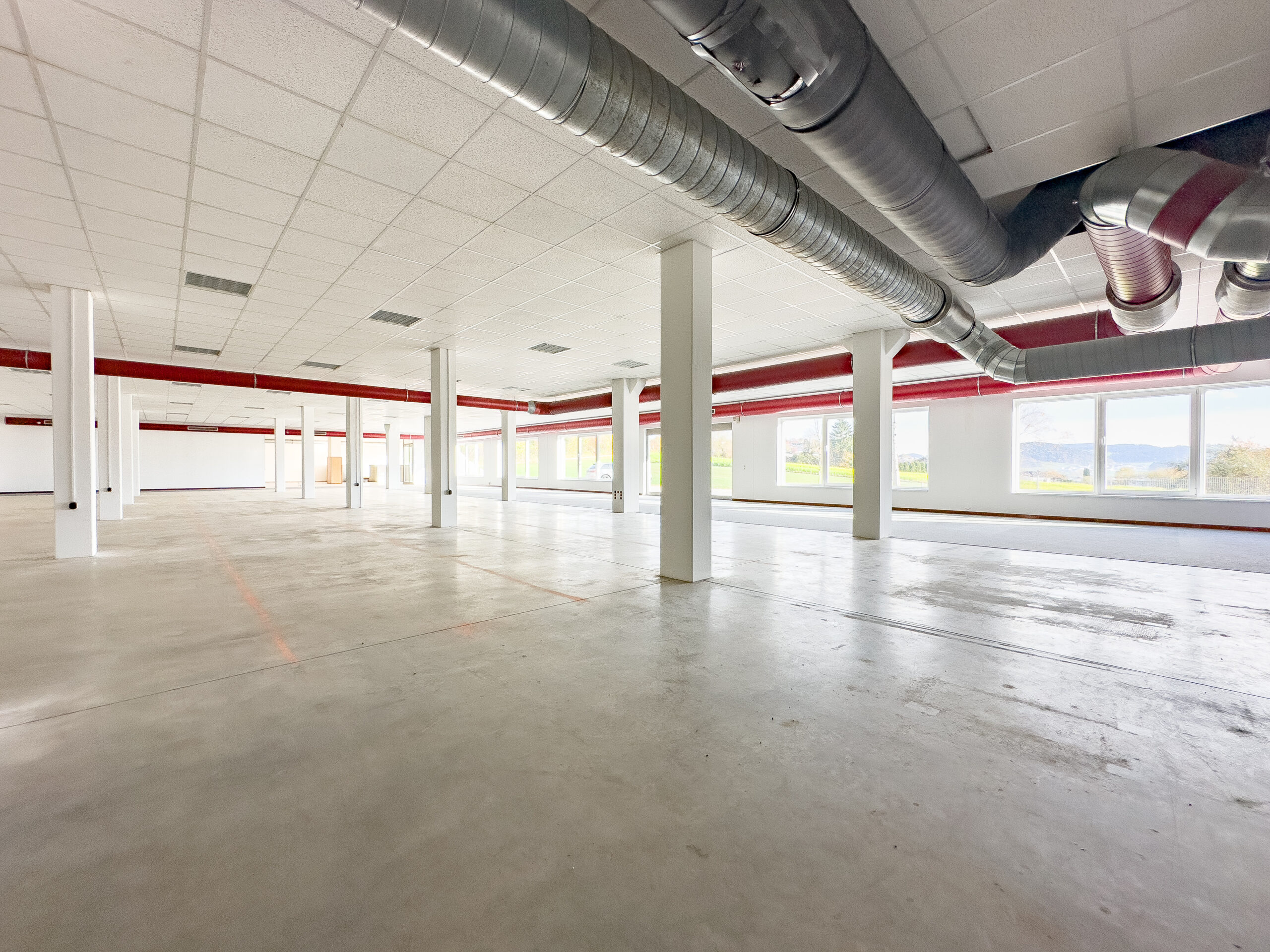 Foto der Immobilie (250090)