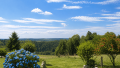 Aussicht Garten