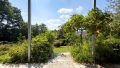 Blick in den Garten