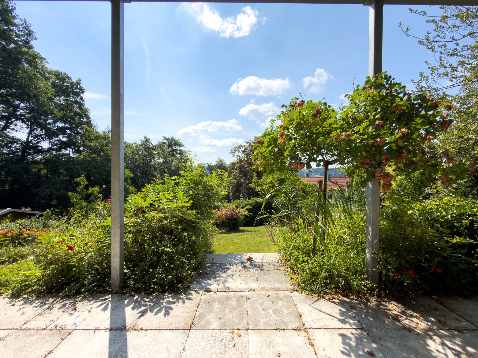 Blick in den Garten