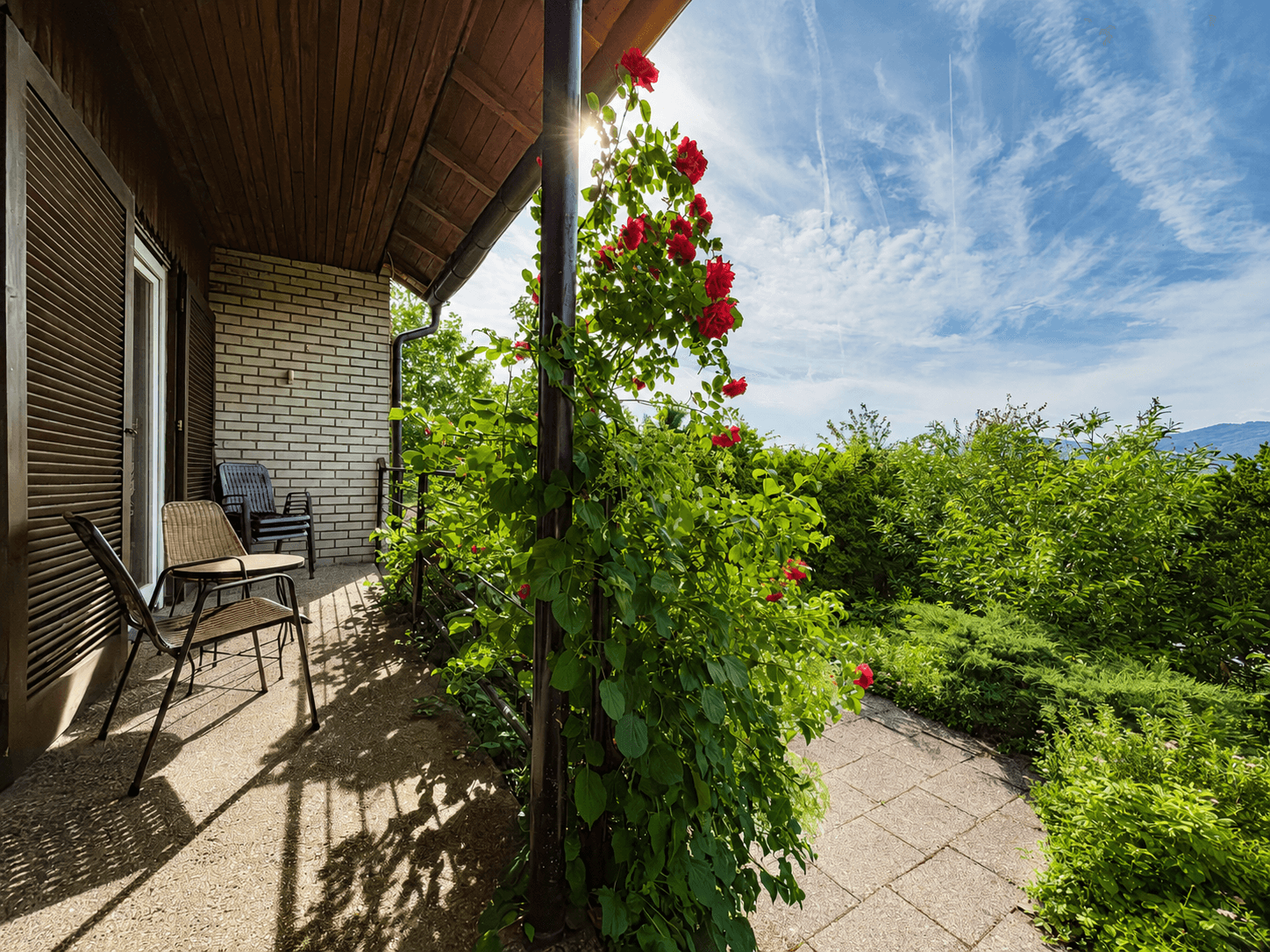 Balkon / Terrasse