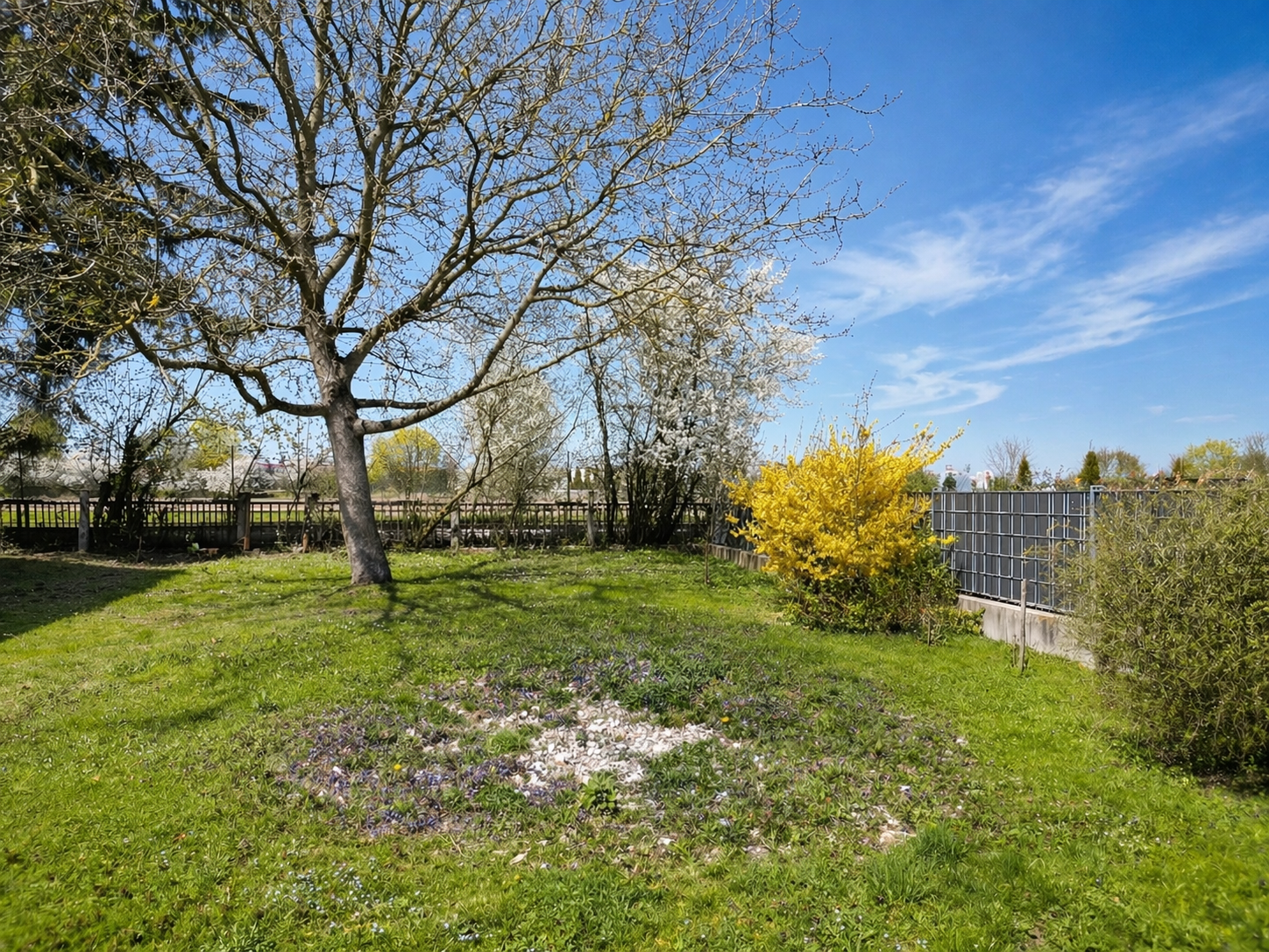 Garten im hintern Bereich