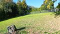 Foto der Immobilie (265402)