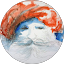 Karim Sadry Avatar